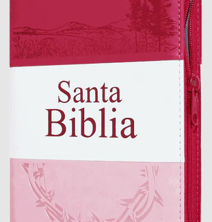 Biblia Reina Valera 1960 Letra Grande Cierre Indice Concordancia Tapa Pu Tritono Rosa
