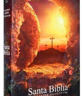 Biblia Reina Valera 1960 Letra Grande Piedra Removida 14 puntos de Letra Tapa Rústica